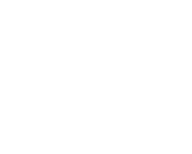 expertise - car accident lawyer