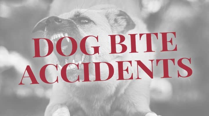 Dog Bite Accidents